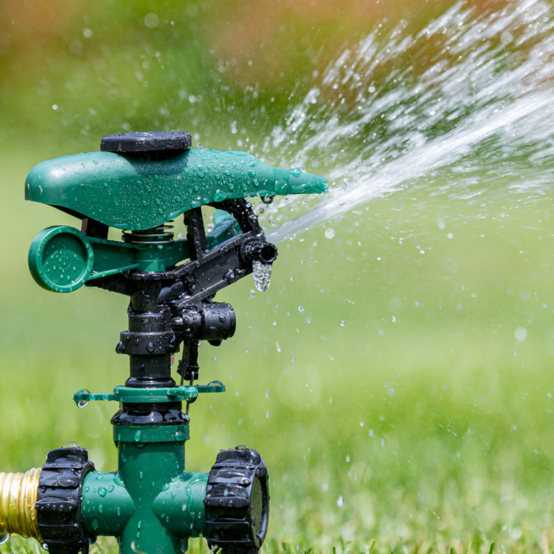 water sprinkler in a healthy green lawn